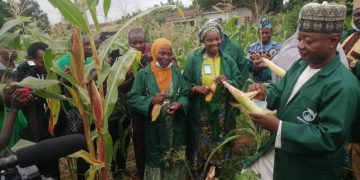 Encroachment : ‘We turn our challenges  to blessings’ — Kwara poly Rector